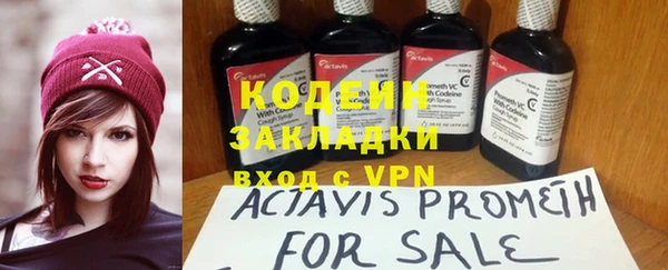 шишки Абаза