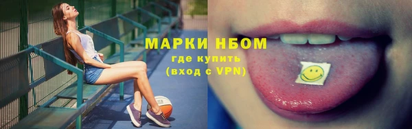 шишки Абаза
