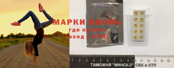 шишки Абаза