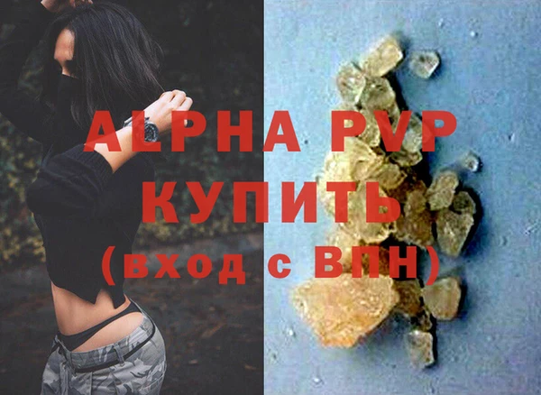 шишки Абаза