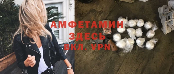 шишки Абаза