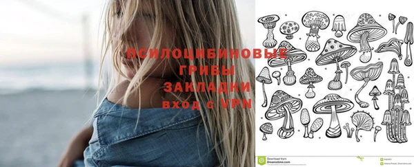 ГАЛЛЮЦИНОГЕННЫЕ ГРИБЫ Абинск