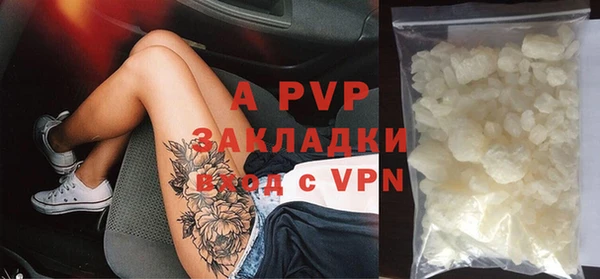 шишки Абаза